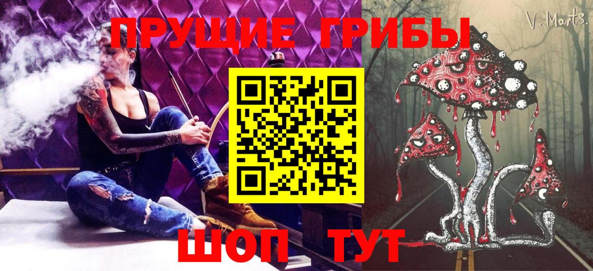 Лесозаводск  Псилоцибиновые грибы Cubensis  Вход с VPN 